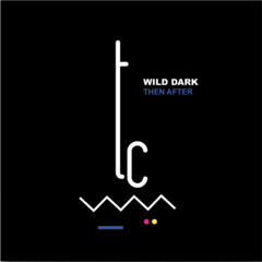 Premiere: Wild Dark feat. Alex Who? 'Why Not'