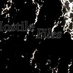 The Hostile Files Track 4