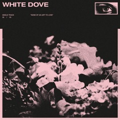 Koda - white dove