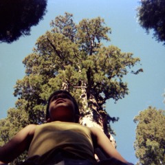 King Krule "Little Wild" Cover