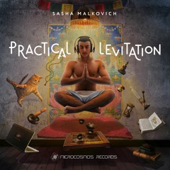 Sasha Malkovich - Rebirth In Meditation