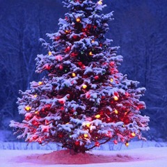 Have Yourself A Merry Little Christmas