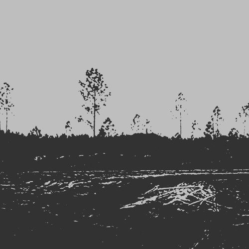 EVERY ELEVEN MINUTES [PROD. VESSELS]