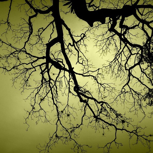 RONIN BEATS - Shadow (instrumental)