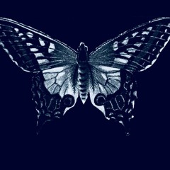 OMW [MuL$ANN3] ft Allen Wright