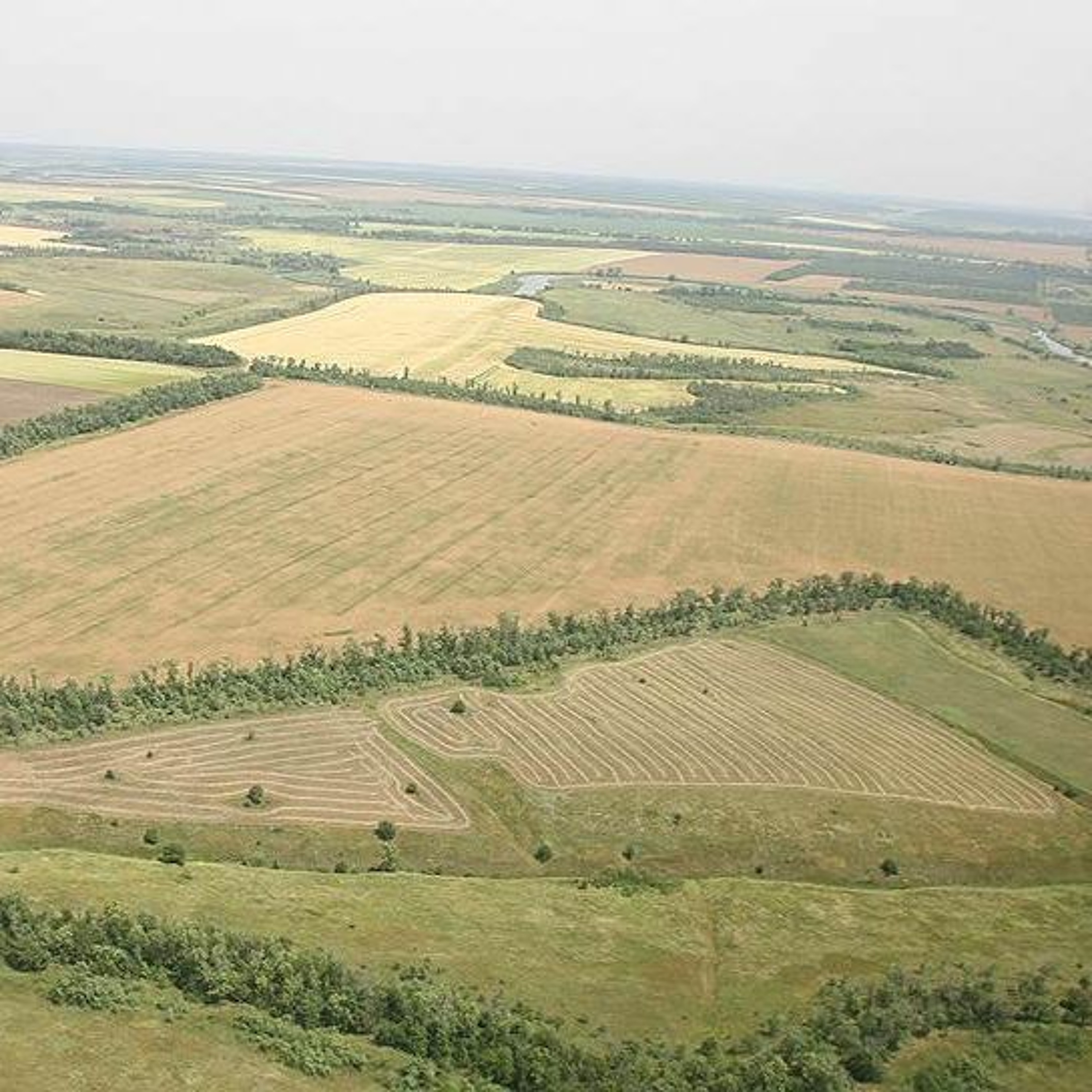 «Славу Кубани» выводят из-под ареста