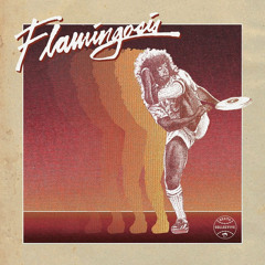 Flamingosis - Surface