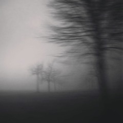 Suspension of Disbelief