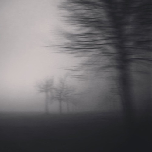 Suspension of Disbelief