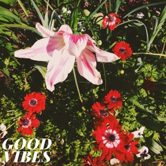 Good Vibes
