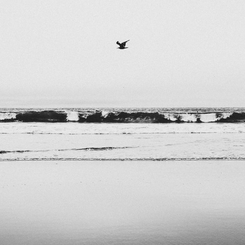 CC003: How Can Any Rational Person Believe that Noah's Ark Actually Happened? (with Dustin Crummett)