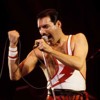Queen Crazy Little Thing Called Love Mp3