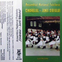 11.Jiana Din Marginimea Sibiului