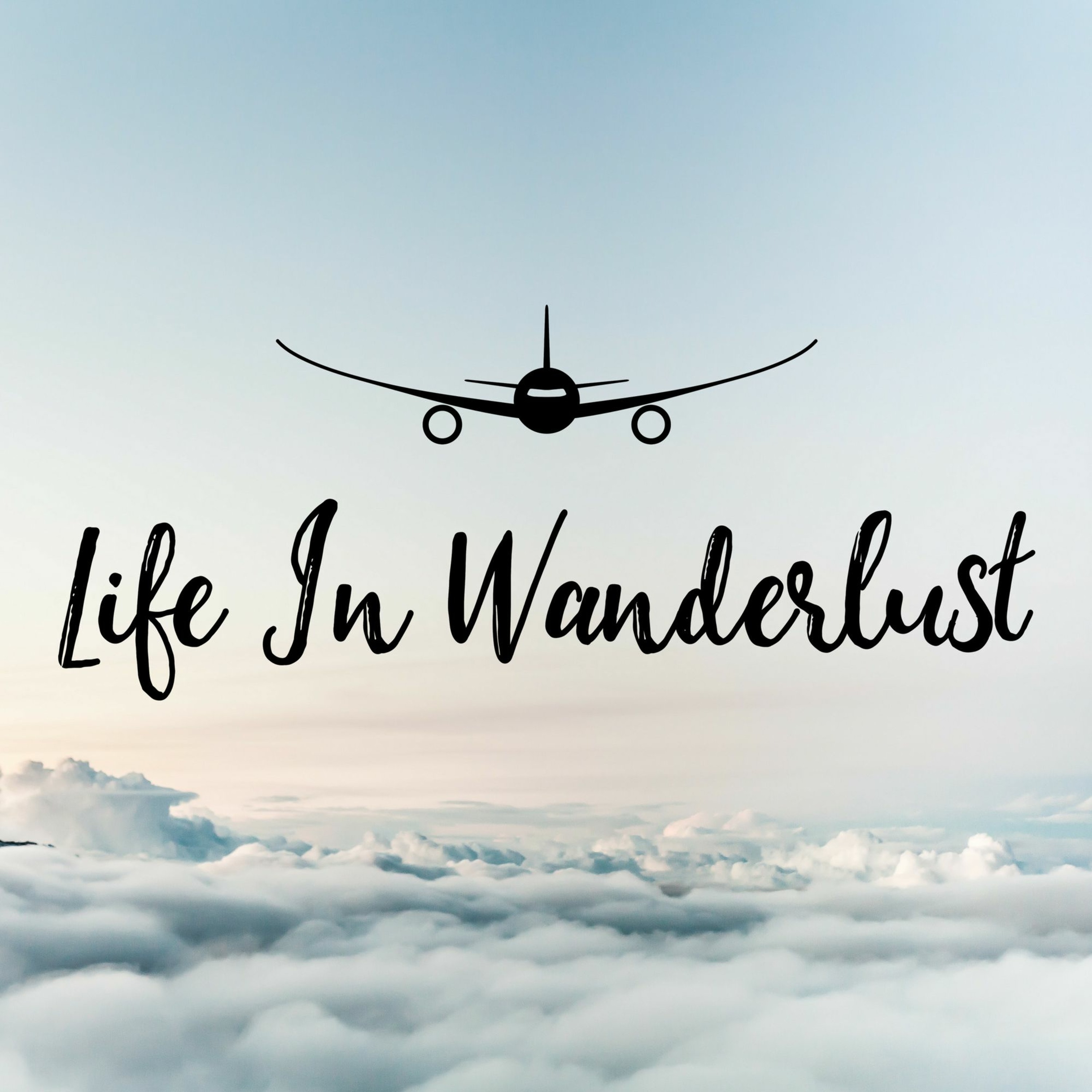 Flying my life. AK - wanderlust. Mellowdy wanderlust. Life in wanderlust. Пес AK wanderlust.