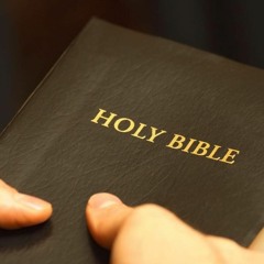 EDWN & Taz Gods Plan Remix