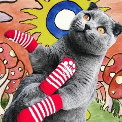Try Raving In My Socks (Sikander @ Beate Barfuß)