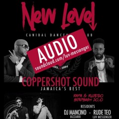 Audio New Level Opening Party 24.01 Coppershot + dj Mancino Bizzarri + RudeTeo Luv Messenger