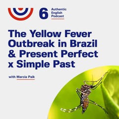 Episode 6 - The Yellow Fever Outbreak in Brazil (part 1)