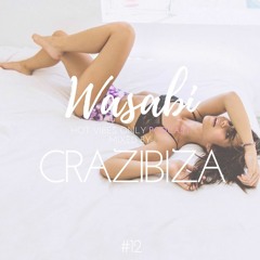 WASABI Hot Vibes PODCAST #12 (Mixed By CRAZIBIZA)