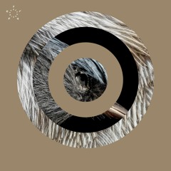 4 Jamie Anderson - Axiom