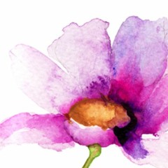 Cristo, Sólo Tú - Un Corazón