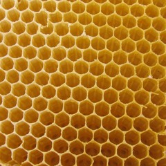Bee Hive (124bpm)