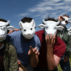 Sanitised Hip Societies