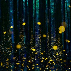 No Church In The Wild (DG REMIX) -teaser clip-