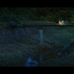 Floating Lines, Distant Codes (preview clip)