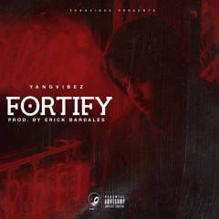 Fortify  [Prod, by Erick Bardales]