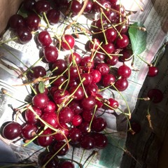 Afghan - Pashto - Folk - Instrumental