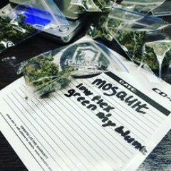 MOSQUIT - Green My Blunt