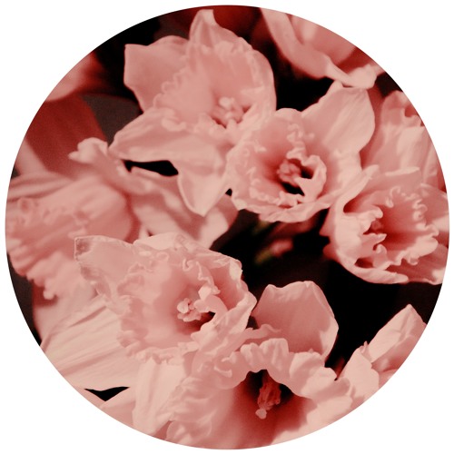 RNSC006 || Physical Therapy - Buttercup EP (Preview) by Renascence ...