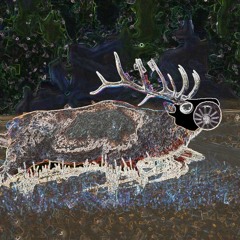 Elcrys - Aatikokaaning Rework