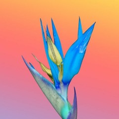 Beatiful Strange people (marlyn manson vs. the doors)