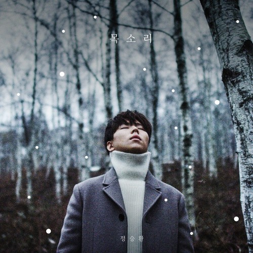 Jung Seung Hwan 정승환 - The Fool 이 바보야