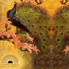 Baile De Carnaval com Tapioca Discos