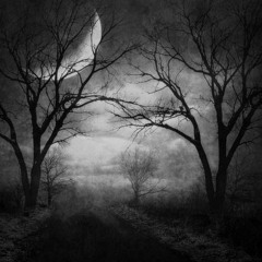 Dances Like Bowie (demo - Gothrock)2.01