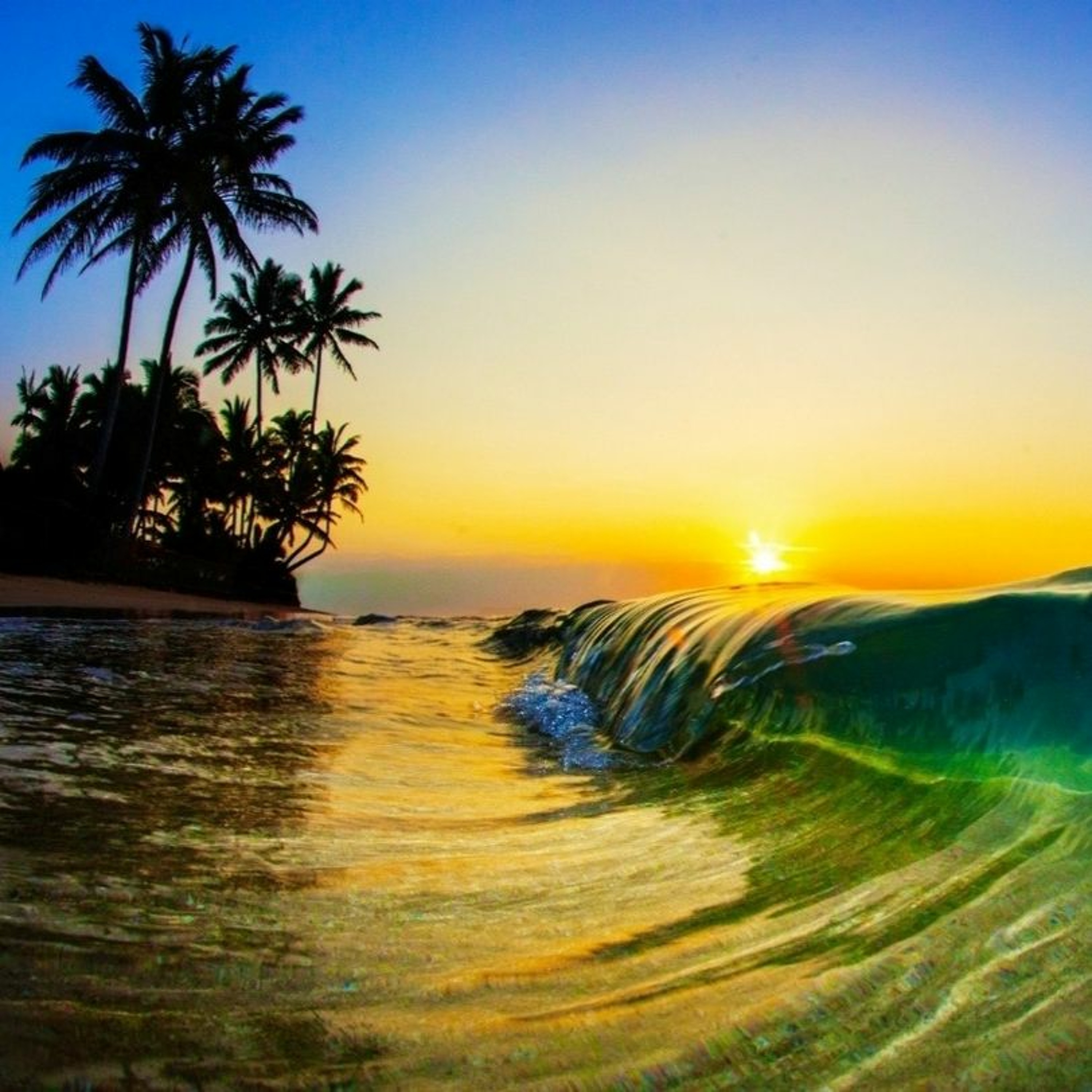 Tropical CHILLOUT episode artwork