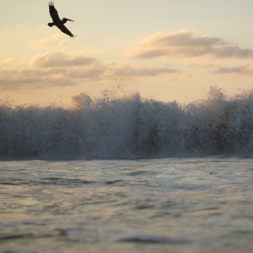 1 Hour: Waves on the beach, Pacific coast (Nayarit, Mexico)