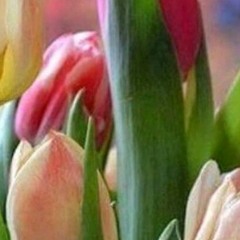 بكل مافيا أنا عايزاك.m4a