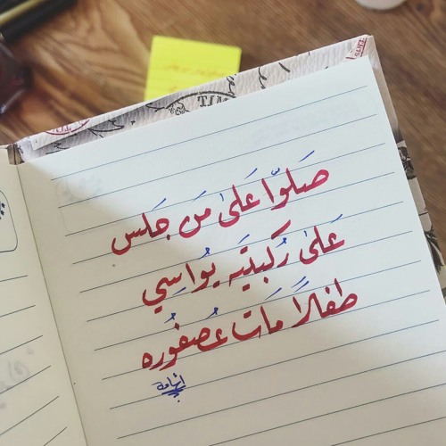 ميدلي في حب المصطفى -محمد طارق ومحمد يوسف