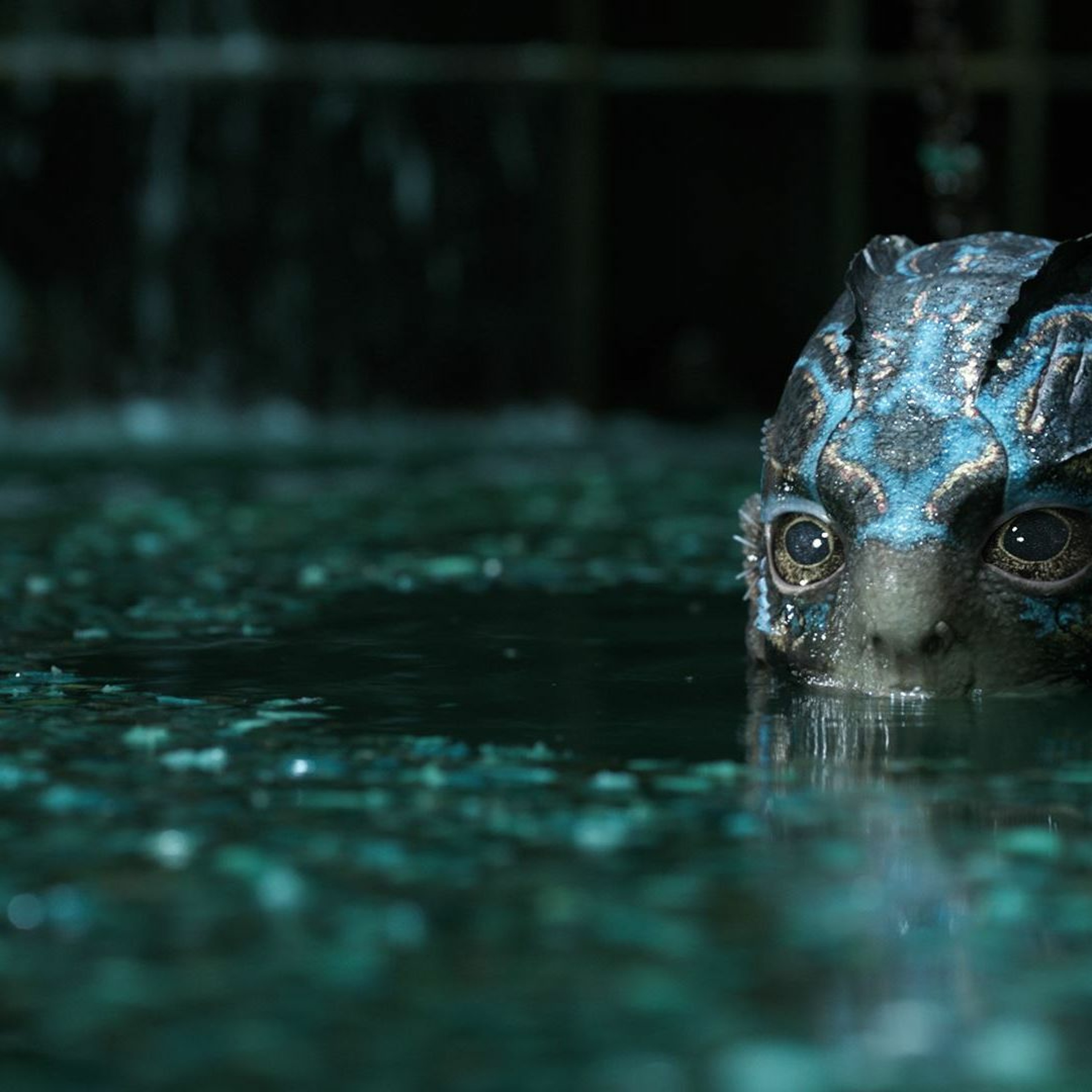 THE SHAPE OF WATER