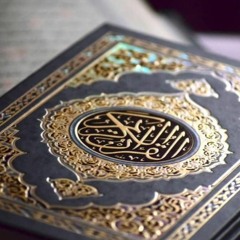 الشيخ حاتم فريد - سورة النمل