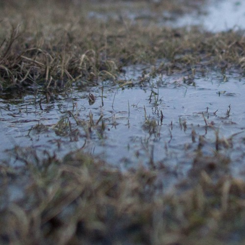 Cormac - In Retrospect [Instrumental]
