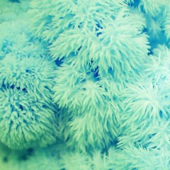 Run the Heart (Sleigh Bells cover)