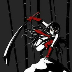 Dj Rottendoc D'n'B mp3 crazy horse