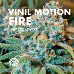 Vinil Motion - Fire