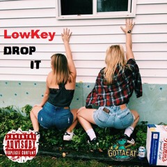 LowKey - DROP IT