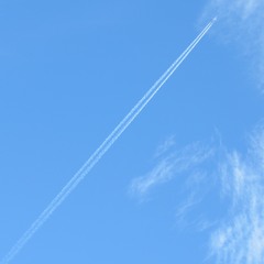 Excuse Me (As I Turn Into A Child)